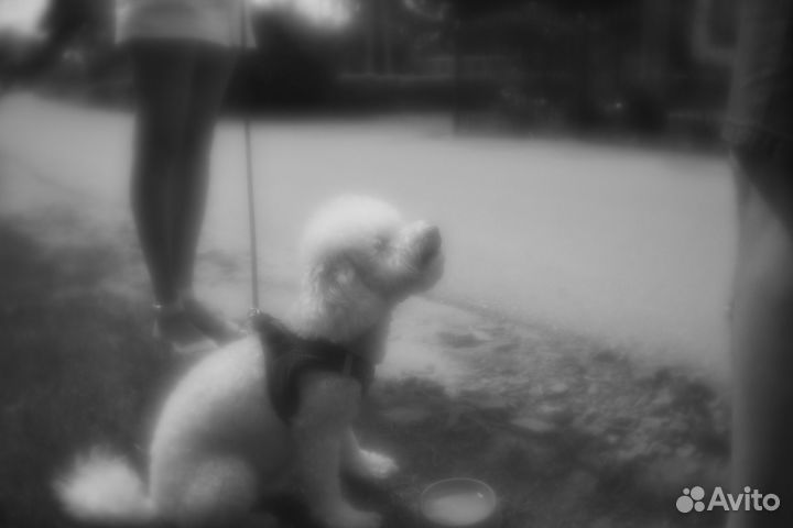 Объектив - монокль м42, м39