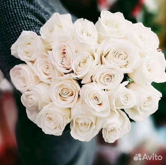 Высокие розы Гигантские розы 110