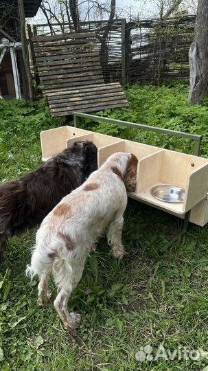 Мисочница для собак заводчиков