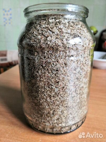 Укроп семена