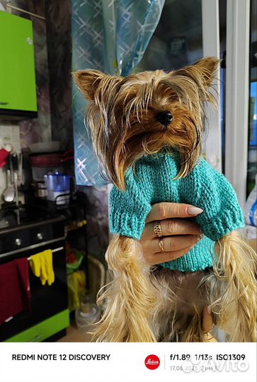 Одежда(свитер) для собак