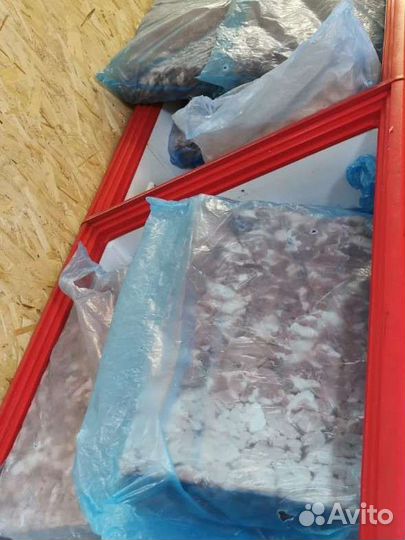 Мясо свинина