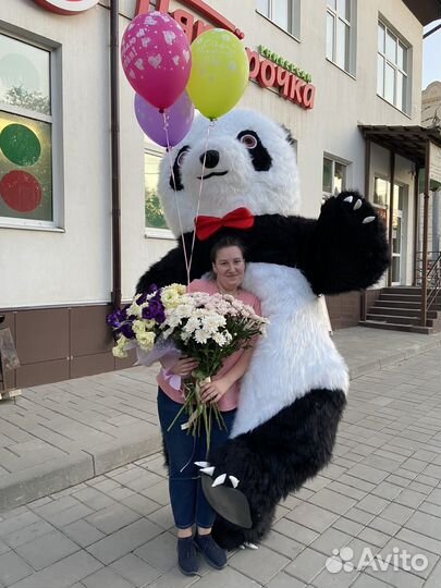 Белый мишка поздравление, Панда поздравление