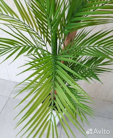 Искусственная пальма