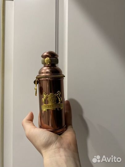 Alexandre J Morning muscs The Collector