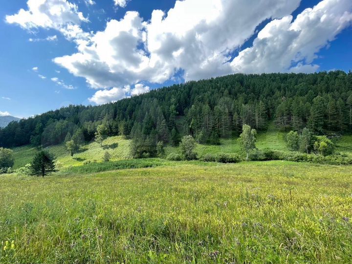 Участок 10 га (СНТ, ДНП)