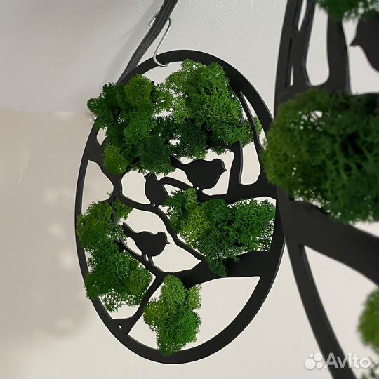 Панно из стабилизированного мха