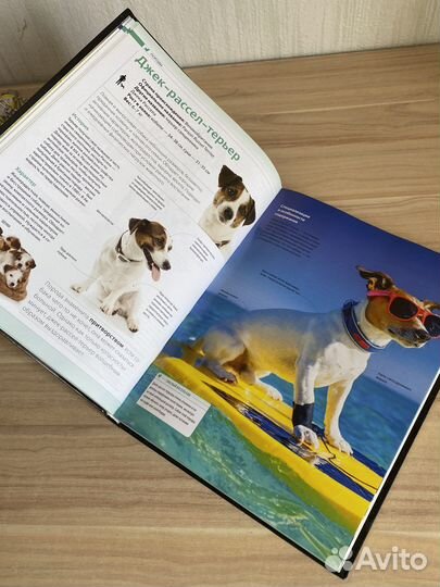 Энциклопедия собак/собаки/ большая энциклопедия