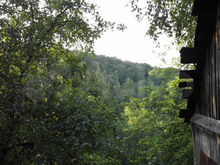 Участок 5,5 сот. (СНТ, ДНП)