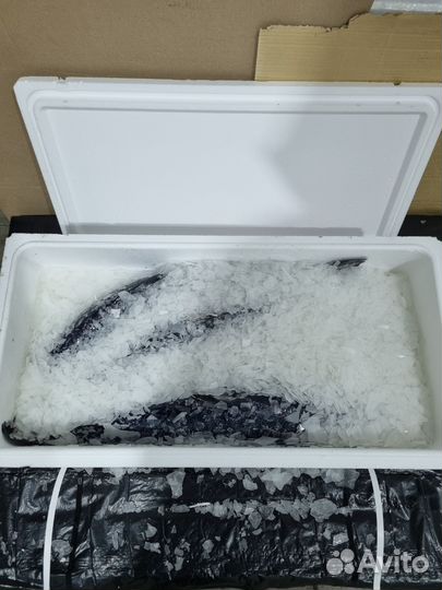 Продукты питания