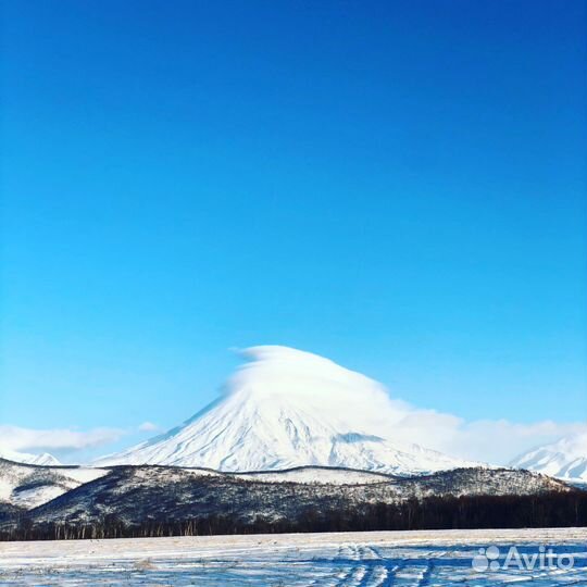 Ваша Камчатка