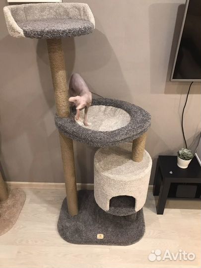 Игровой комплекс-когтеточка «Эльдорадо»