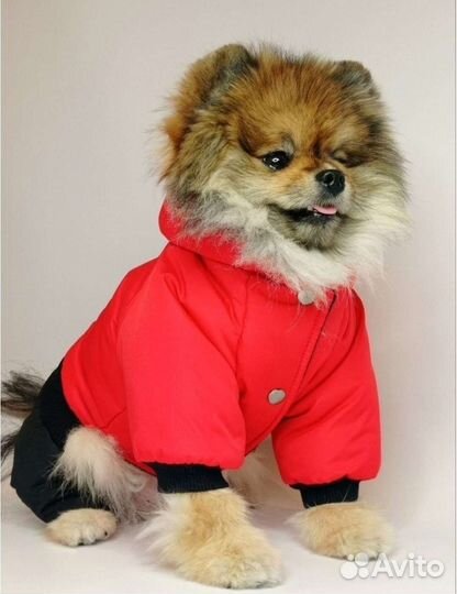 Комбинезон для собак