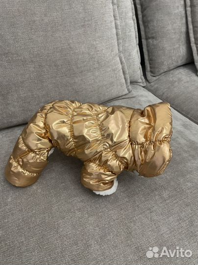 Одежда для собаки