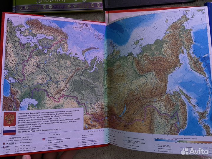 Дневник школьный