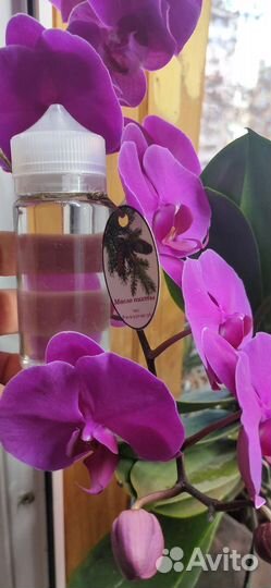 Масло пихтовое для бани и суставов,мыло пихтовое