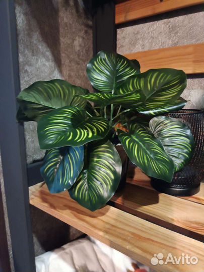 Искусственные растения IKEA аналог для декора