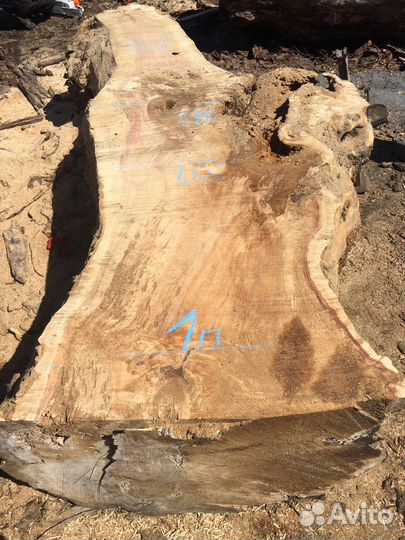 Доска слэб стол Клен