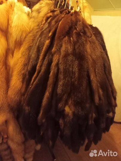 Шкуры норки, енота