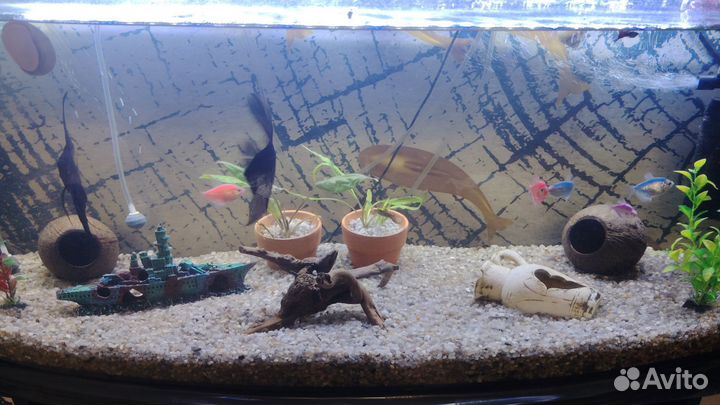 Аквариум 110 л С тумбой