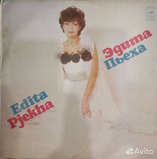 Виниловая пластинка