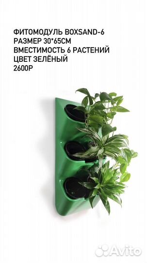 Фитомодули boxsand