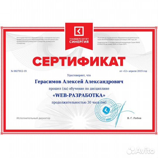 Профессиональная разработка серьезных сайтов