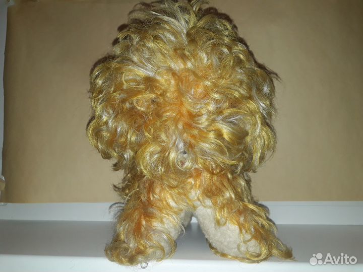 Собака Болонка СССР