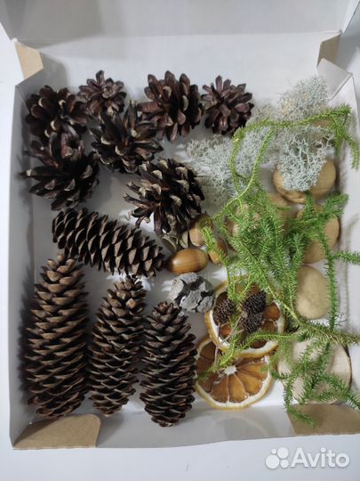 Набор природных материалов для творчества