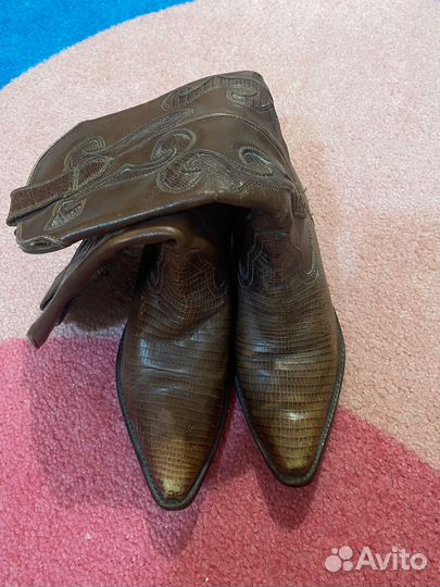 Казаки из кожи крокодила