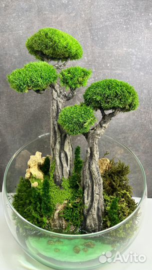 Моссариум с водоемом 