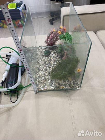Готовый аквариум