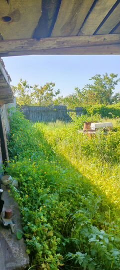 Дом 38 м² на участке 10 сот.