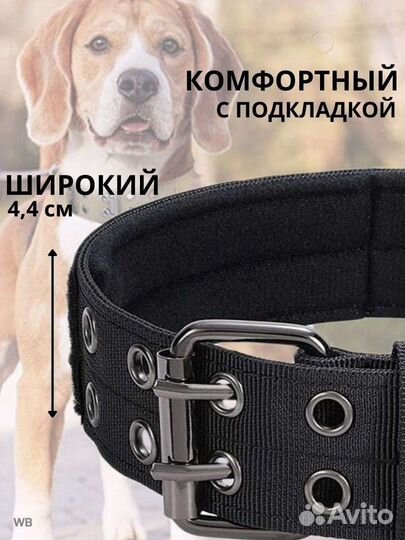 Ошейник для собак крупных средних пород