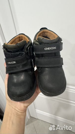Ботинки geox