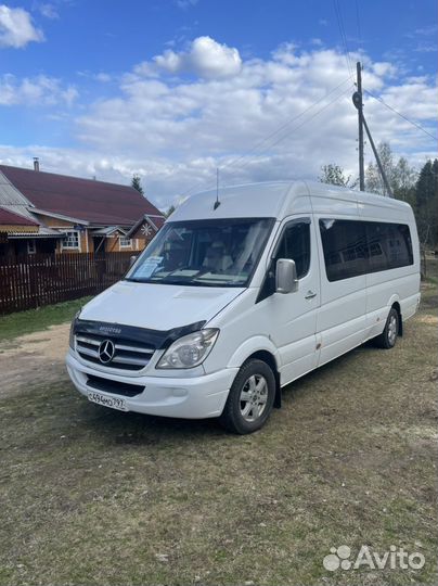 Аренда микроавтобусов и Автобусов