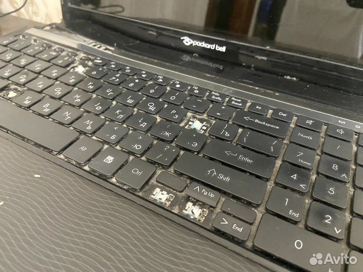 Ноутбук packard bell