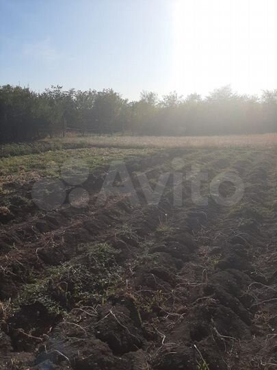 Дом 38 м² на участке 28 сот.