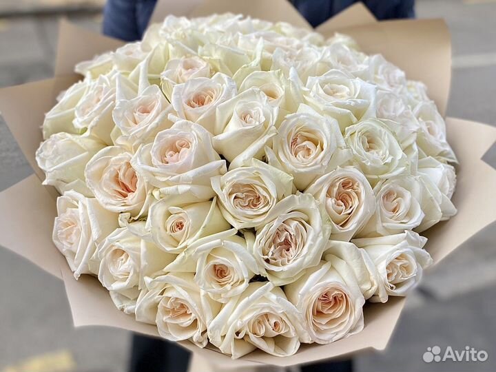 Розы Цветы Букеты 25 51 101