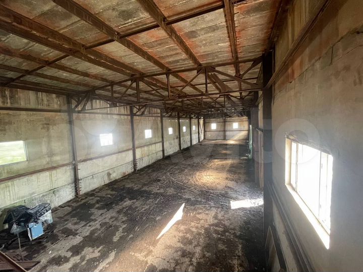 Свободного назначения, 550 м²