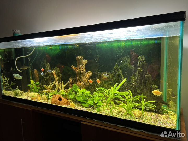 Аквариум с рыбками и тумбой