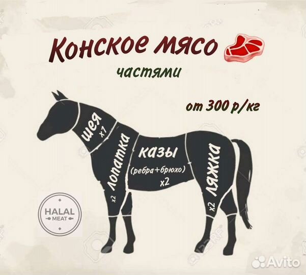 Мясо конина мелкий опт