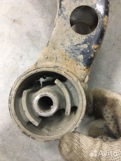 Рычаг поперечный задний (панара) primera p12