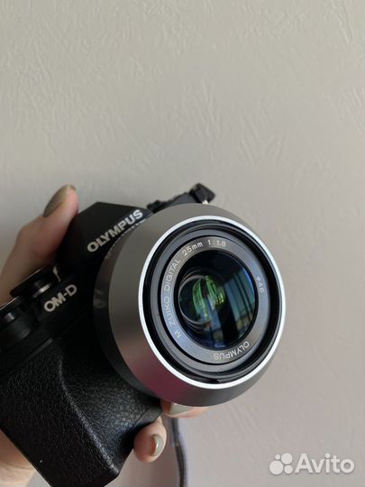 Фотоаппарат Olympus OM-D E-M10 Mark III
