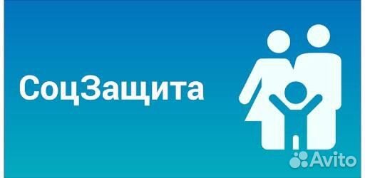 Отчетность для ооо, ип, Соцконтракт