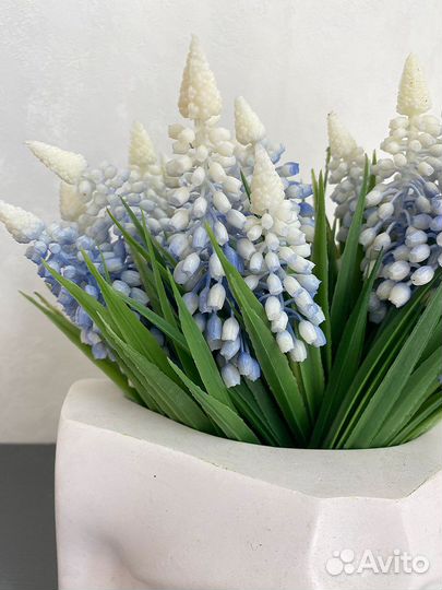 Мускари в кашпо губы