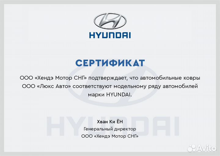 3D Коврики Hyundai из Экокожи