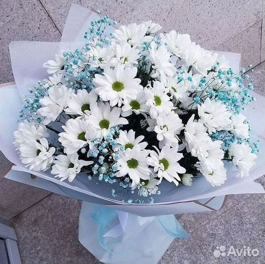 Хризантема Доставка цветов