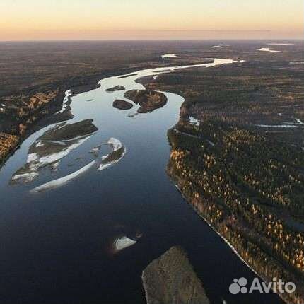 Рыба для вялки. Северная. Вылов 2024