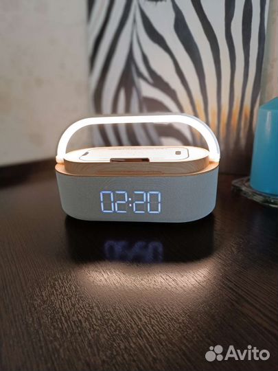 Блютуз колонка 5 в 1